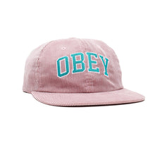 Load image into Gallery viewer, Dtp 6 Panel Strapback
